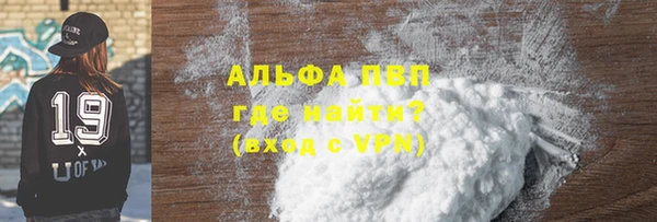 стаф Щучье